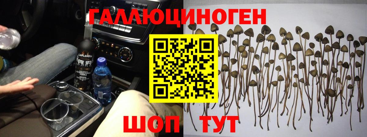 Псилоцибиновые грибы Magic Shrooms  Вход с VPN  Магнитогорск  Галлюциногенные грибы прущие грибы 