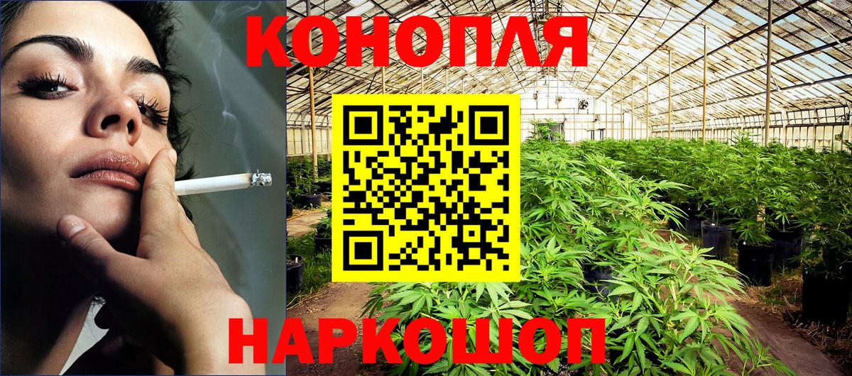 Бошки марихуана OG Kush  Бошки Шишки план  Конопля VHQ  Вход с VPN  Магнитогорск 